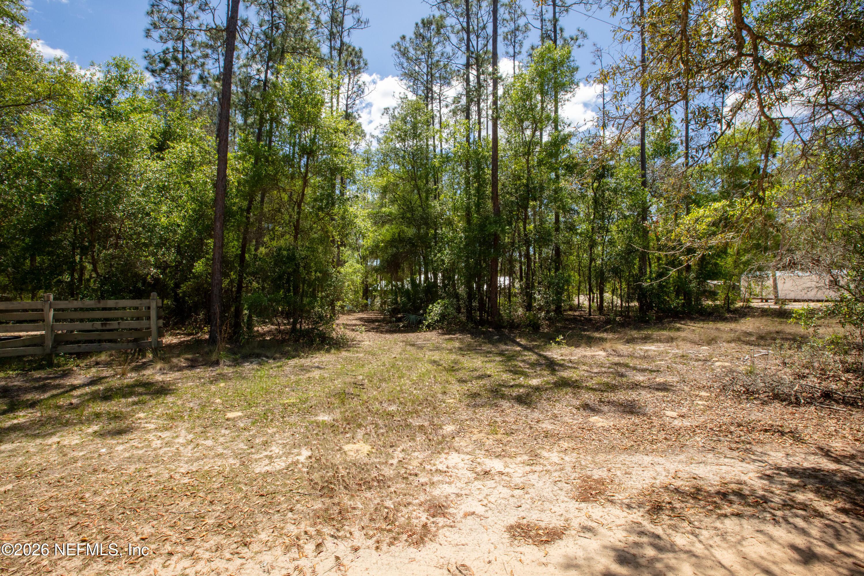 Image 3: 111GatorTrl_MLS-7