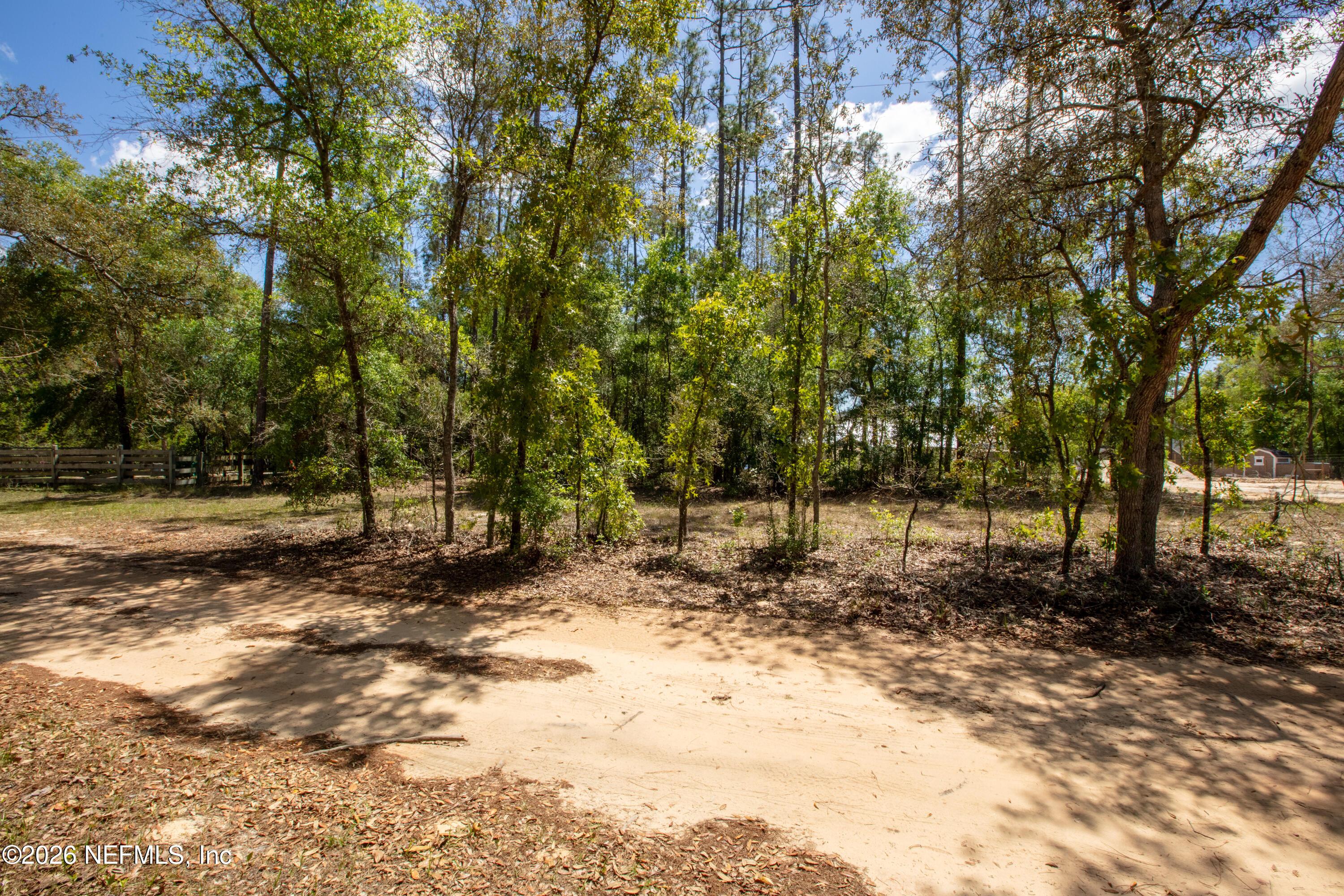 Image 4: 111GatorTrl_MLS-6