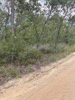 119 AZALEA DR