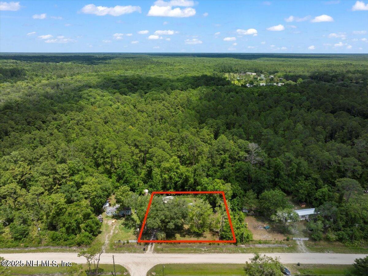 Image 2: Amberjack 2