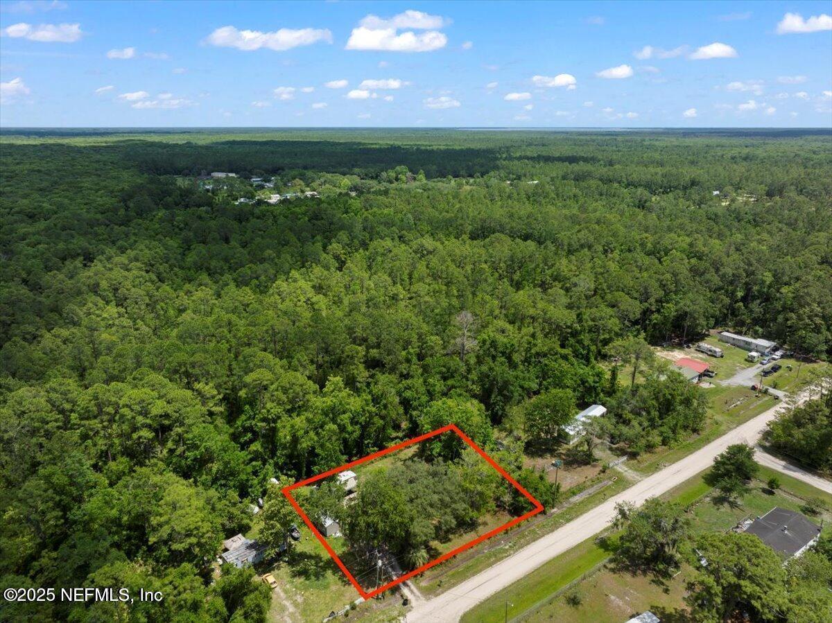 Image 3: Amberjack 3