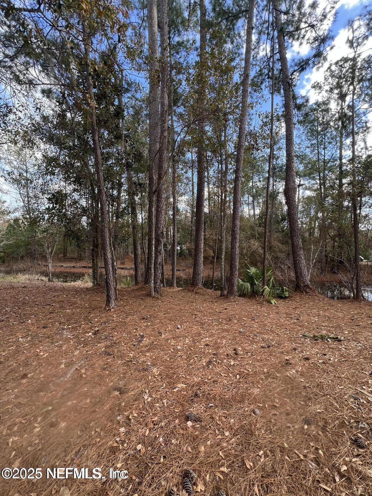 Image 1: land