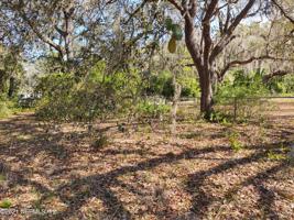 293 OLD WOODS RD