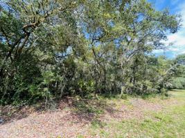 7584 OSCEOLA CT