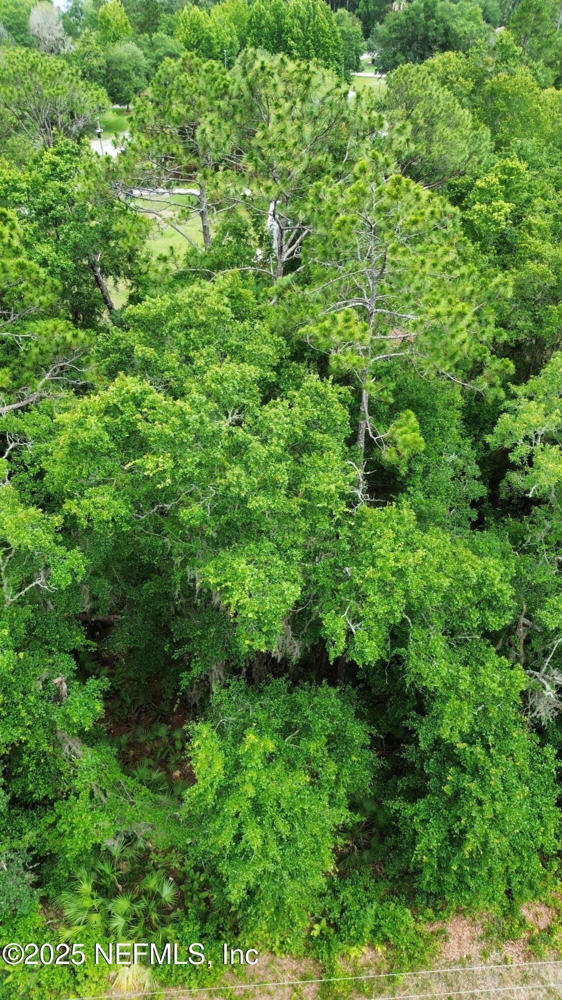Image 4: dji_fly_20250606_031546_198_174949882417