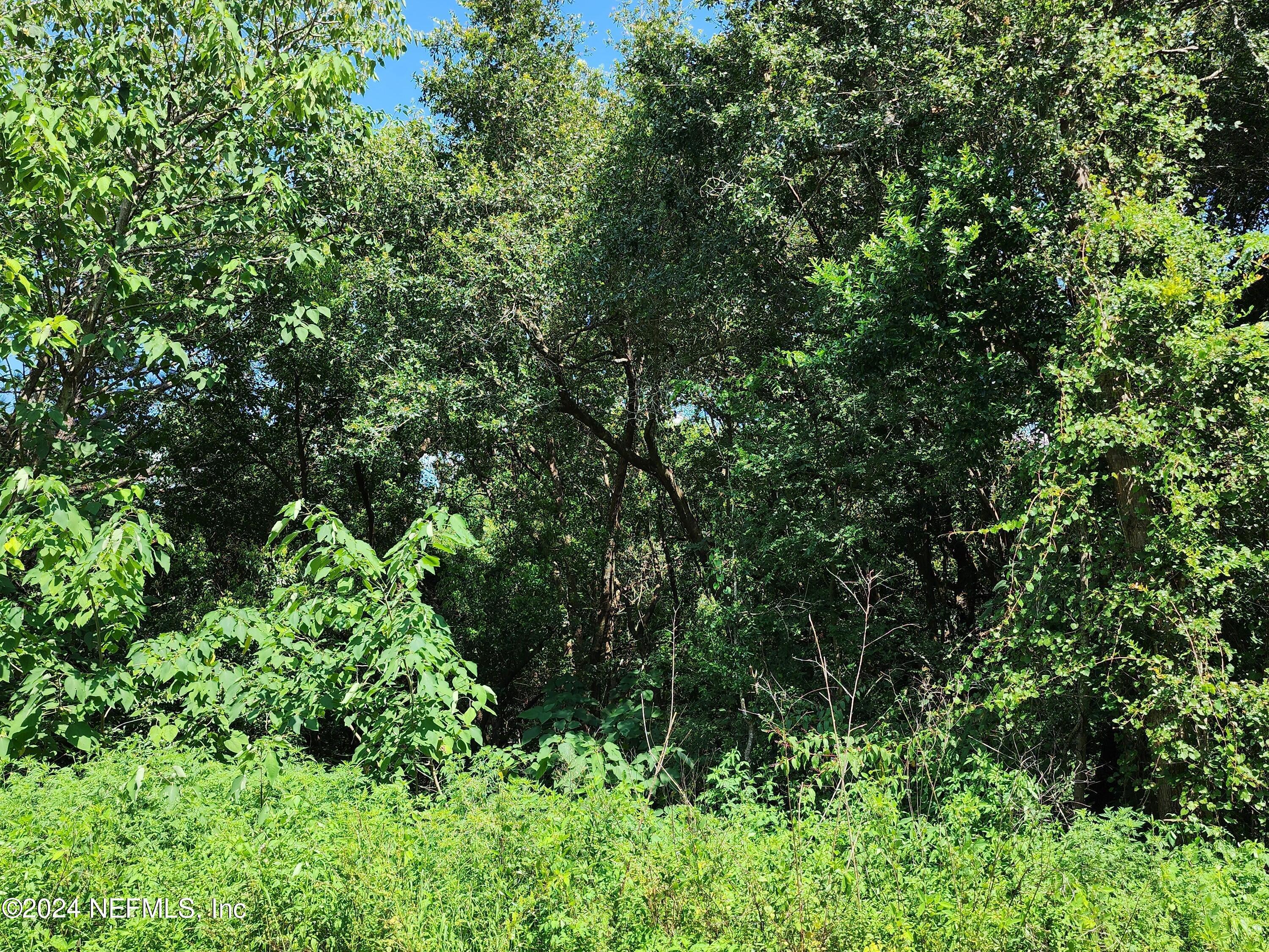 Image 2: 20230720_155403 (2)