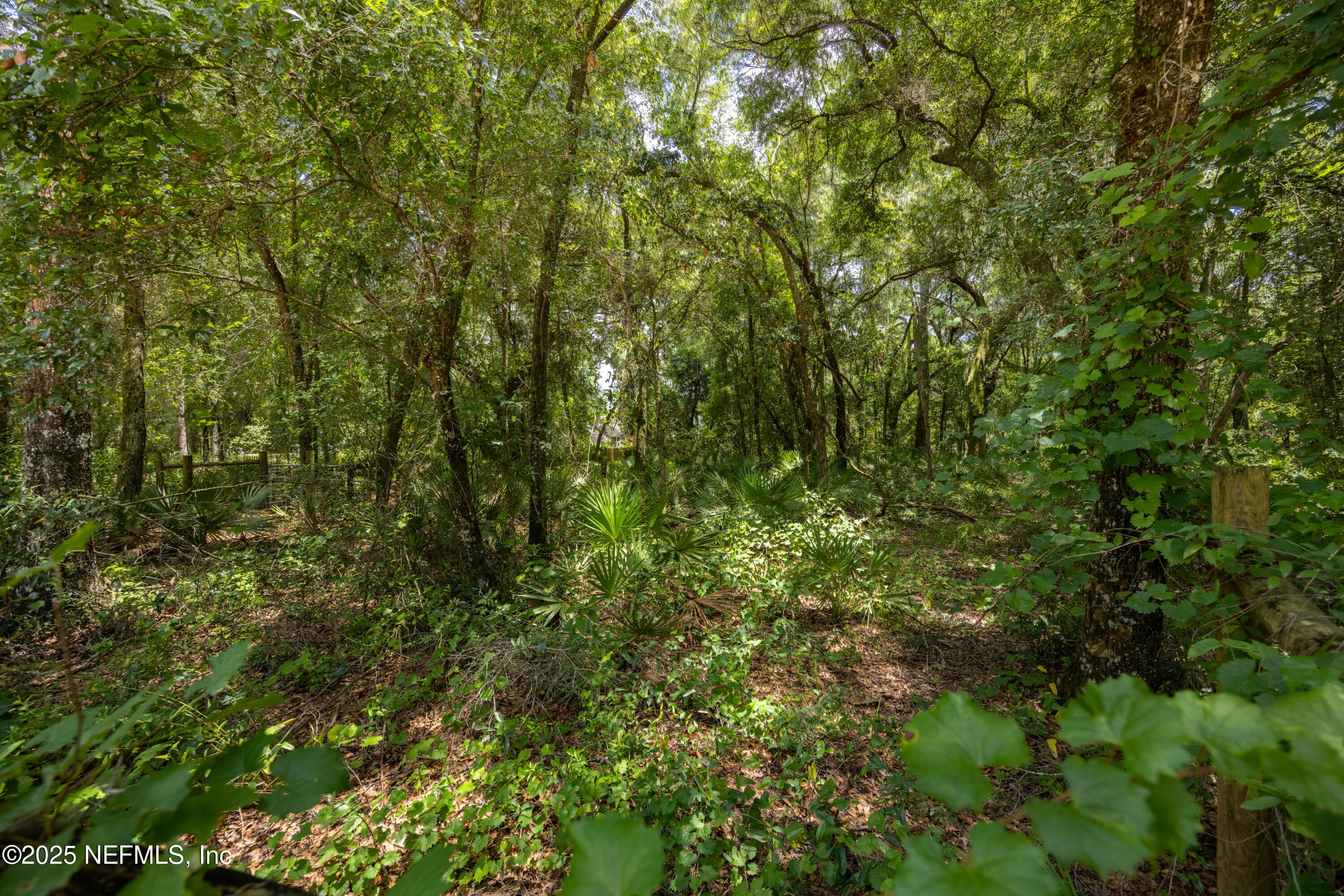 Image 3: 6071 Klare Dr-mls-3