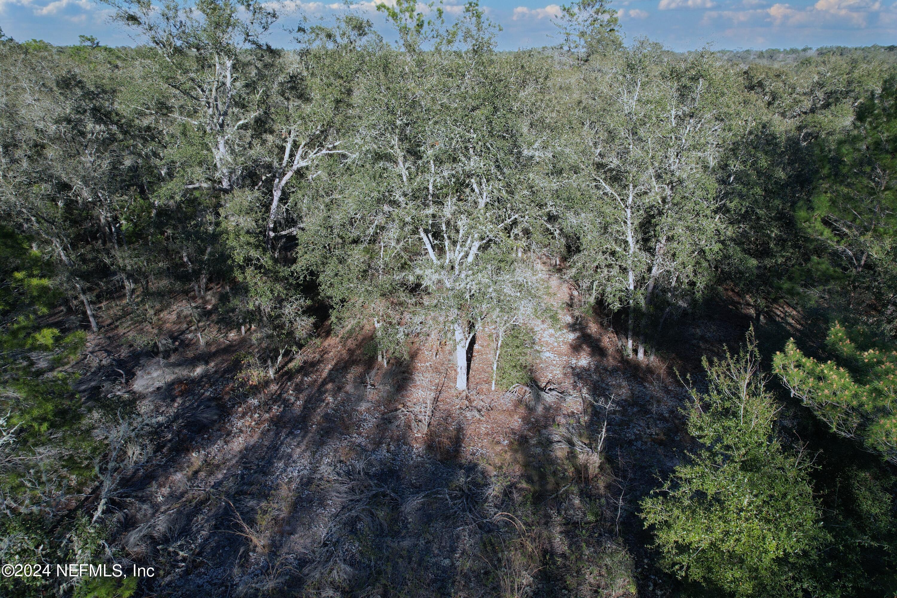 Image 2: 5