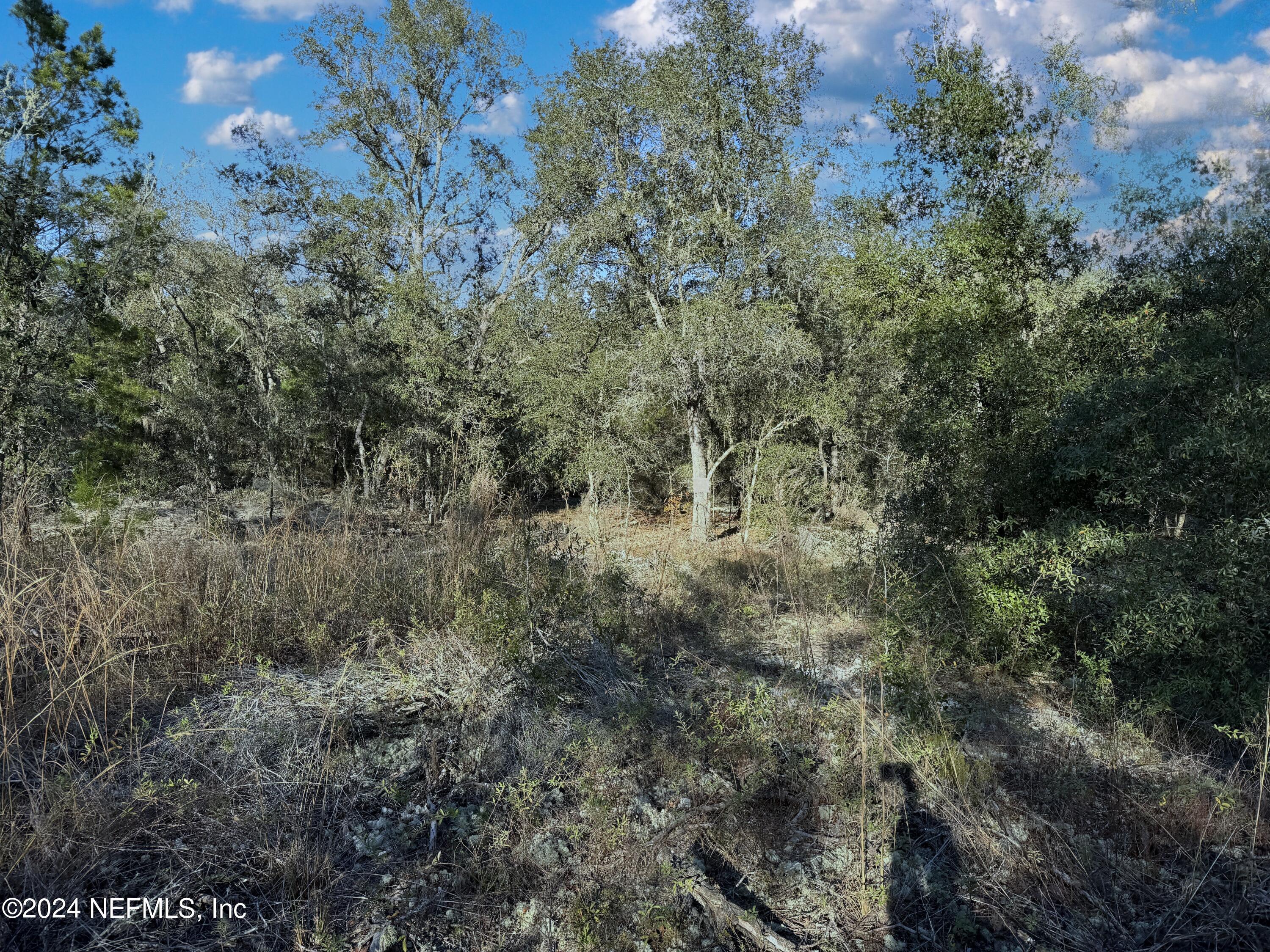 Image 3: 6