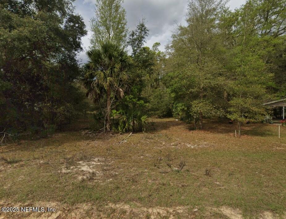 Image 3: 28C26839-2F4B-40AB-803F-EF045A0E5C0A