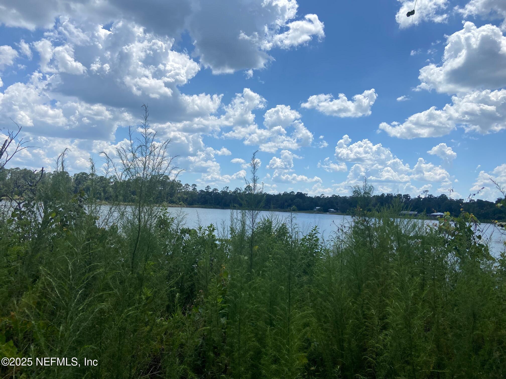 Image 3: IMG_8100