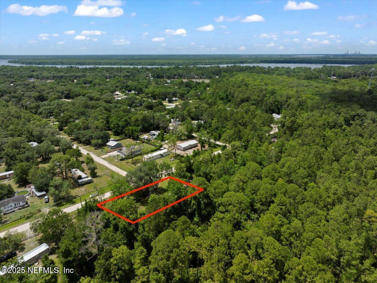 Image 4: Amberjack 4