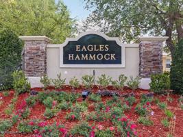 13736 FISH EAGLE DR W