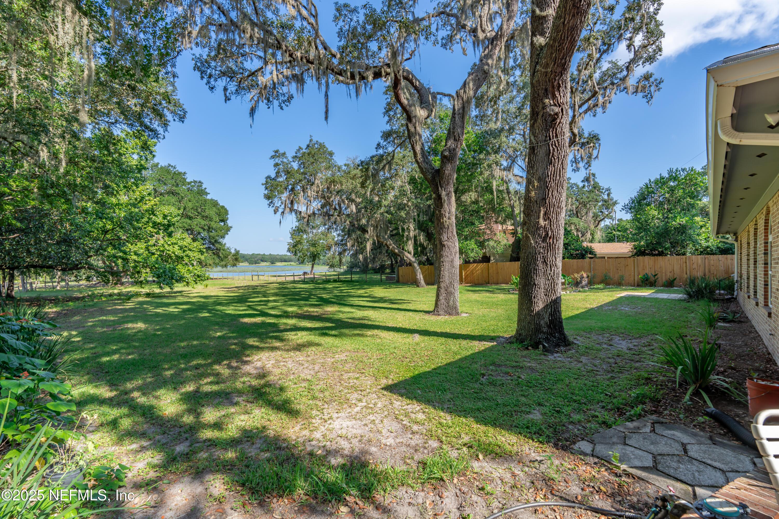 Image 4: BACKYARD