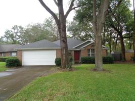 1717 SWIMMING SALMON PL N