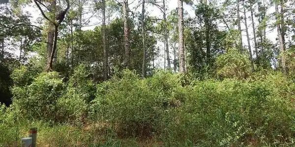 000 BUNDY LAKE RD
