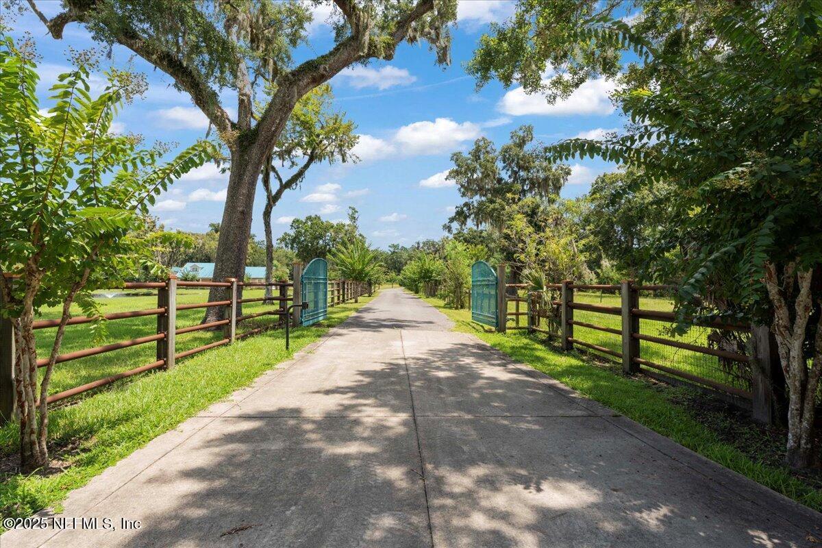 Image 3: Tree Lined Driveway