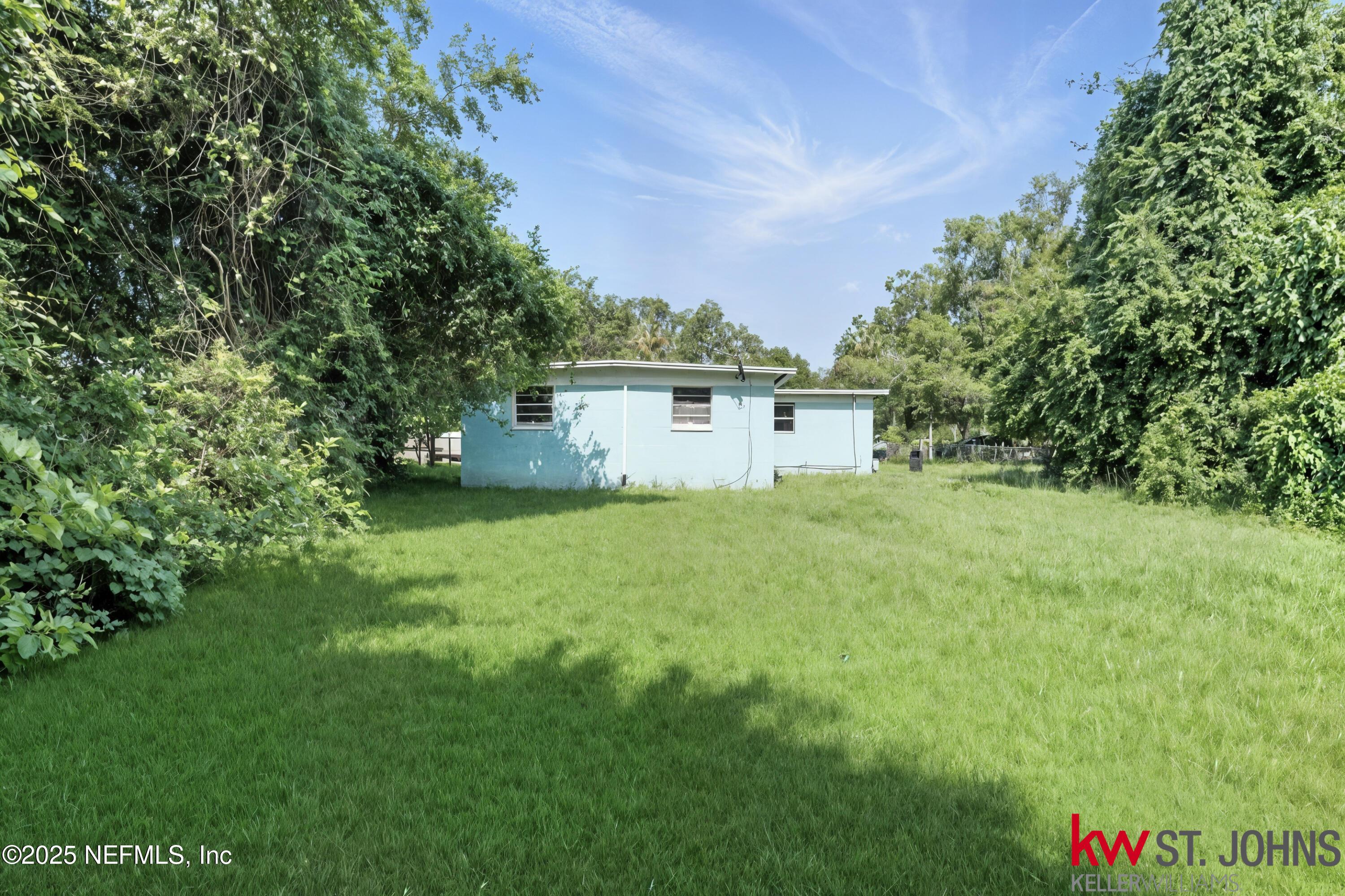 Image 3: Fern Backyard