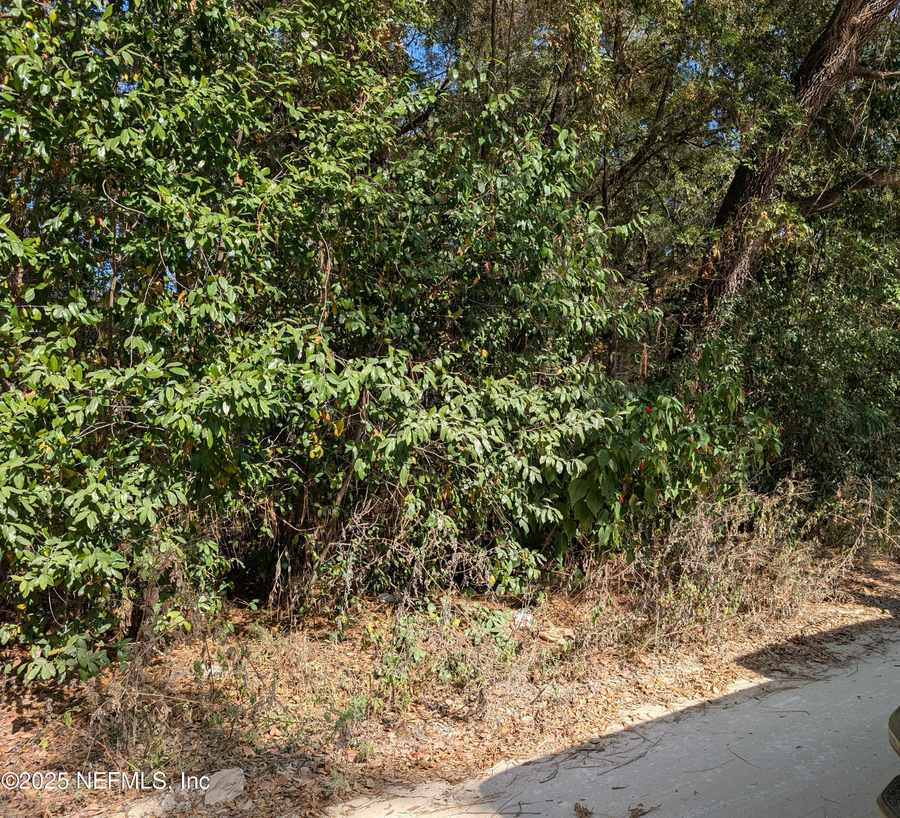 Image 2: 236 5TH WAY 3