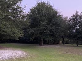 0 SW 80TH PL