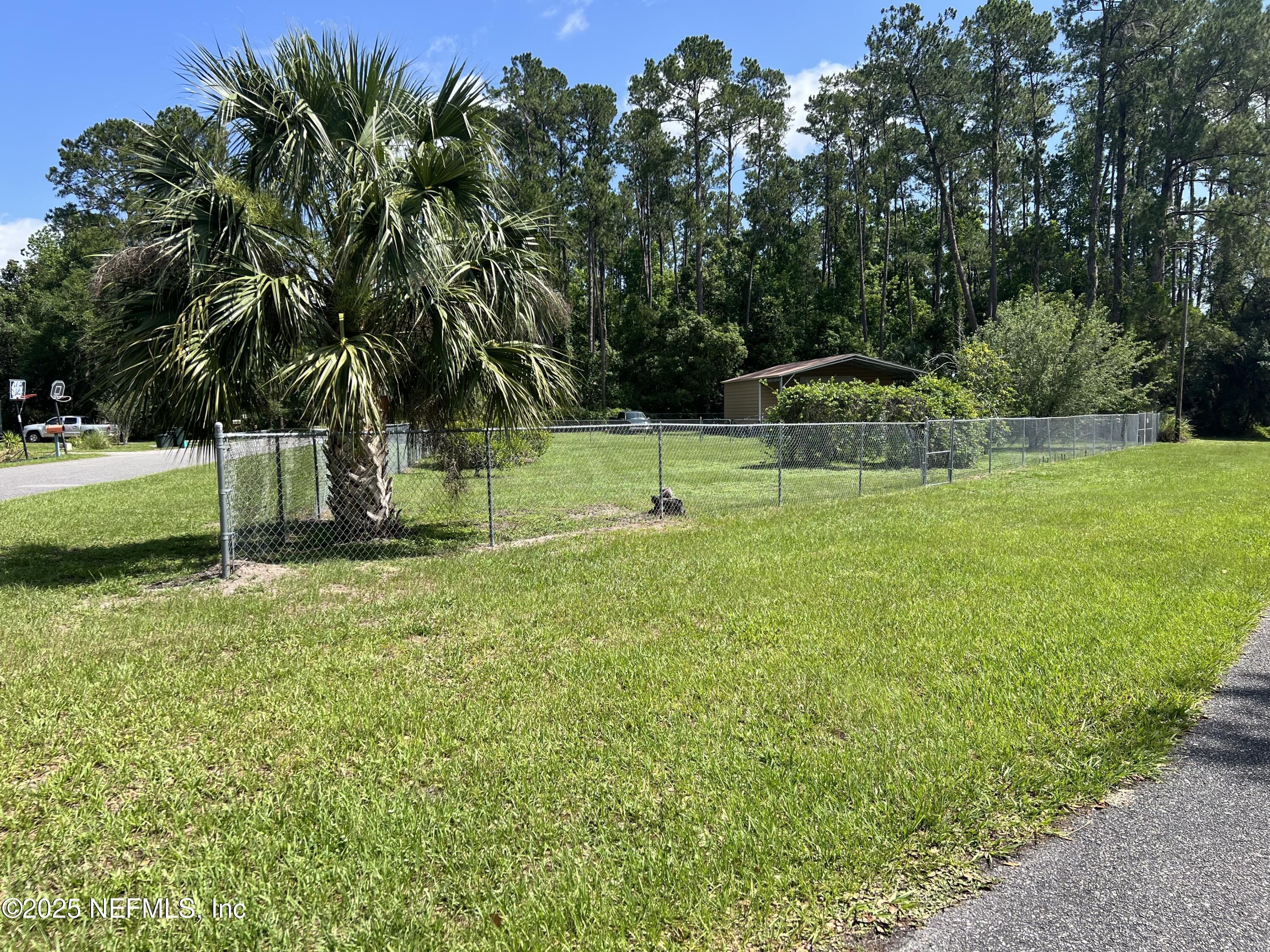 Image 1: park 1