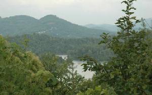 #40 OVERLOOK TRAIL