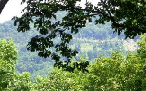 HAWKVIEW ROAD