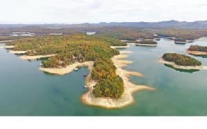 2980 ANTIOCH CEMETARY RD