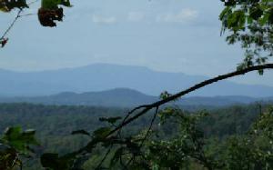 TURKEY RIDGE