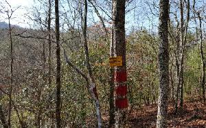 5+/- CARTERS LAKE OVERLOO