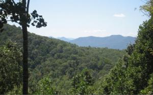 LT 44 SHILOH OVERLOOK E