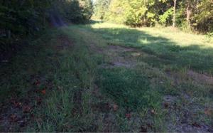 TBD HIWASSEE LAKESIDE DR