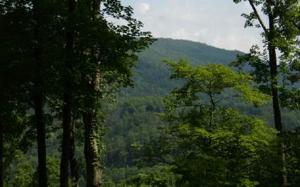 LOT62 QUIET MOUNTAIN TRAIL