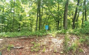 LT148 HARRIS CREEK DRIVE