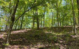 1077 HARRIS CREEK DR #158