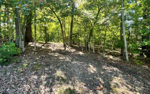 LOT 7 HIDDEN COVE CRSOVR