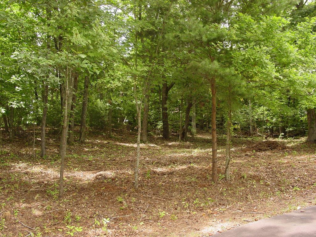Image 1: Main View