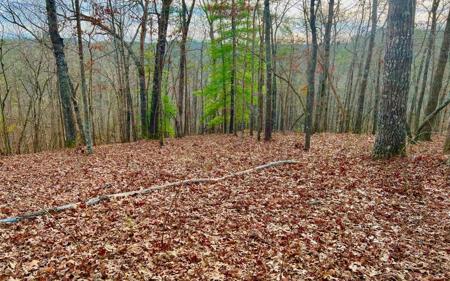 LT209 Harris Ridge Drive