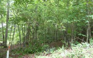 LOT 9 PENLAND INDIAN TRAIL