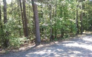 LOT 5 PIKE TRAIL