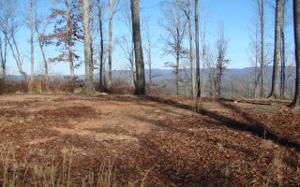 LT 42 HIDEAWAY HILLS