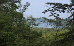 CARTERS VIEW LN-L237