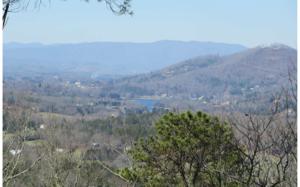 LAUREL RIDGE LOT 3