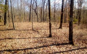 LT128 BEECH TREE DRIVE
