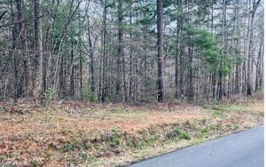 LOT16 RIDGEWOOD DR