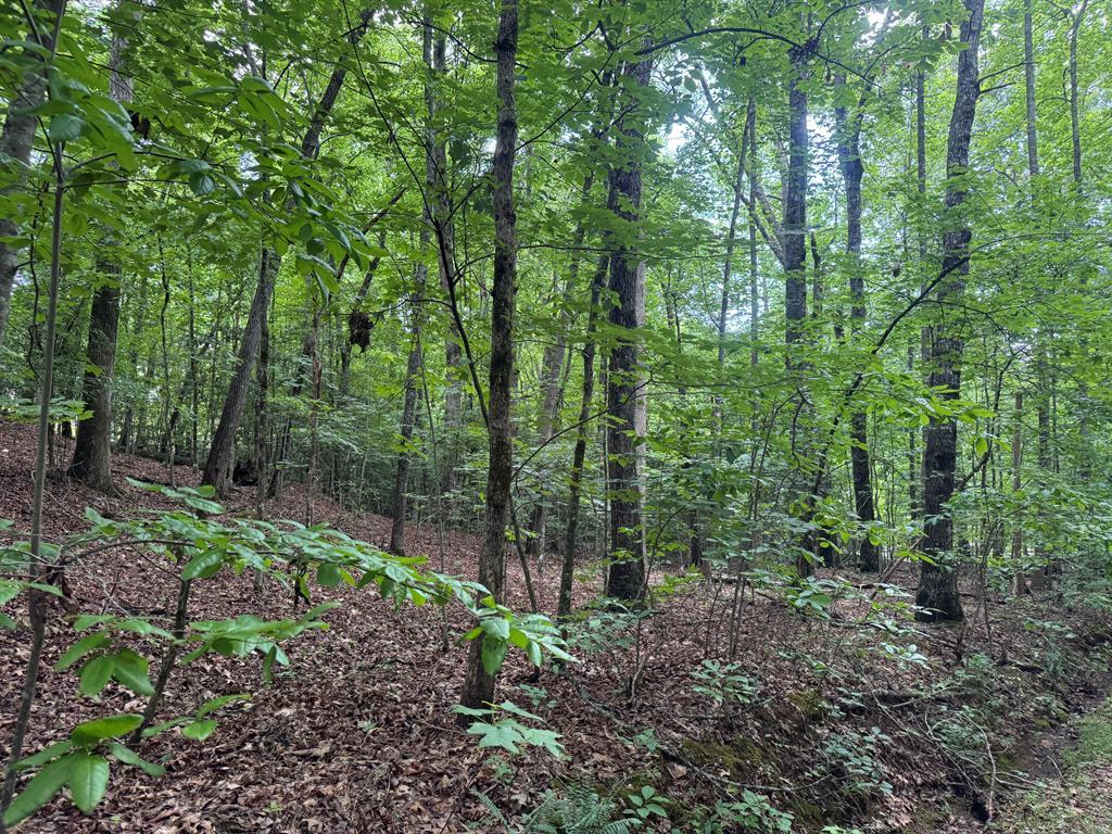 Image 1: Main View