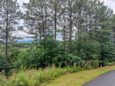 Lot 34 Mile High Lane