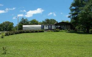 1159 HWY 175