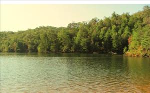 APALACHIA COVE ROAD