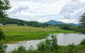 17 MEADOWS AT CHATUGE